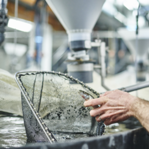 AquaVlan keurt vier voucheronderzoeken goed
