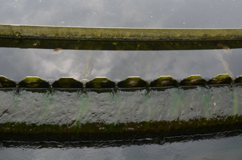 IMPAKT!: Slotevent Zuurstof voor de Dommel en de Warmbeek/Tongelreep