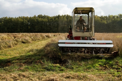 Grasgoed: Demonstratie machines natte graslanden 