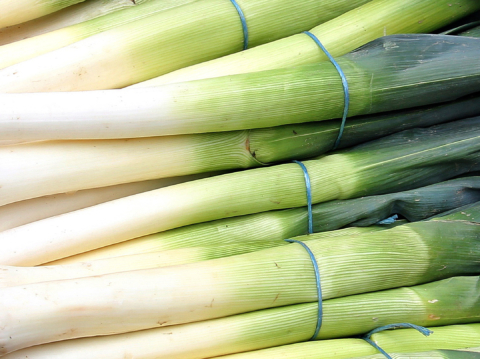 Food from Food: digitale eindcongres