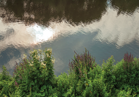 Schone waterlopen door O3G