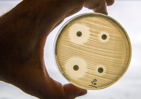 Aftermovie halfjaarlijkse bijeenkomst i-4-1-Health Gent