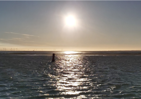 Het grote zandkoekje in de Zeeuwse Delta : Smartsediment