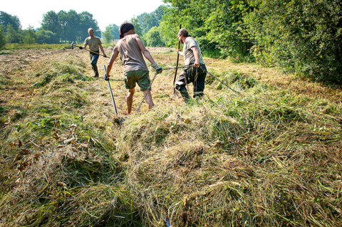 Startconferentie Grasgoed - Natuurlijk Groen als Grondstof