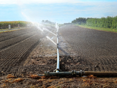 F2AGRI: Water voor de agrovoeding