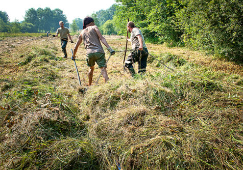 Grasraffinage: bedrijfsbezoek i.k.v. Grasgoed